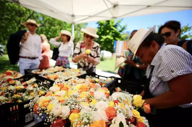 Fête et musique dans les Yvelines