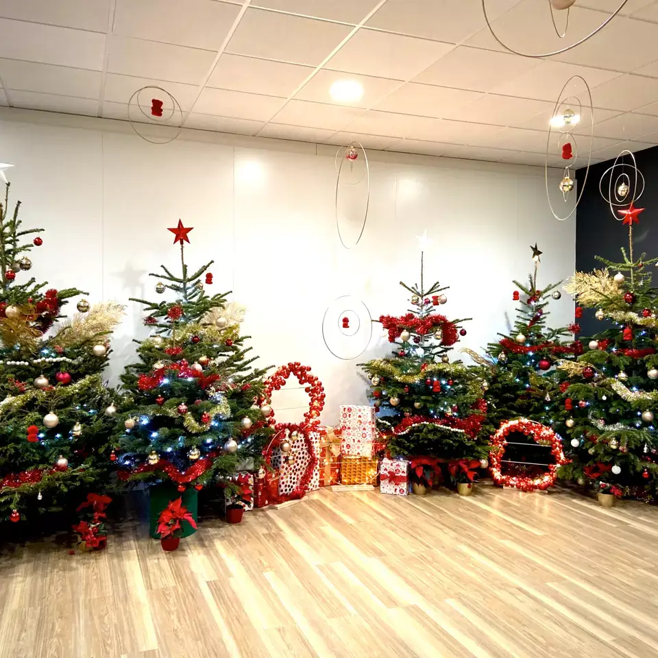 Vue d'ensemble déco de noel