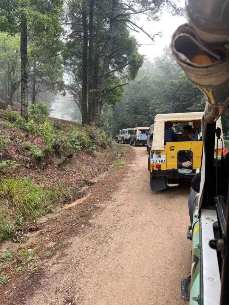 Team building en 4x4